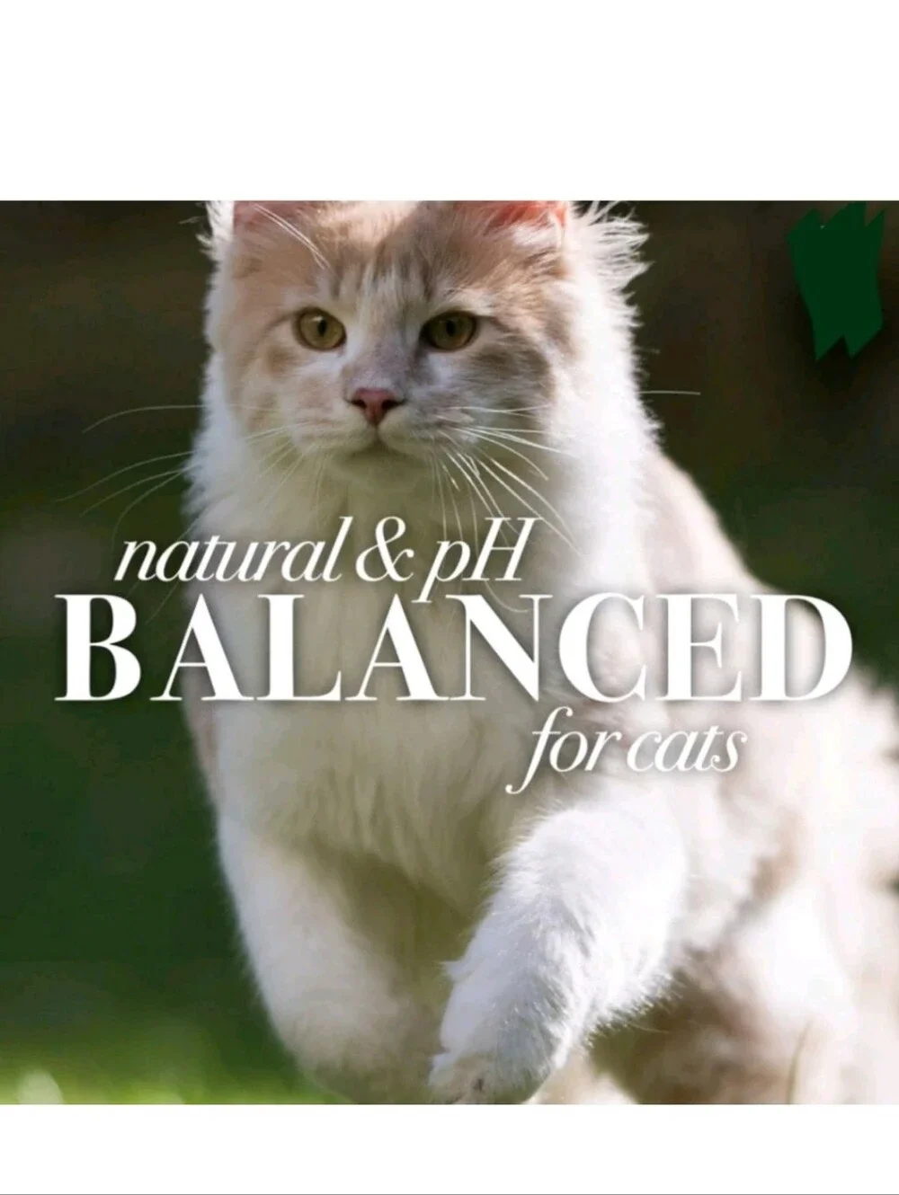 *NEW*Burt's Bees Natural Waterless Dry Shampoo For Cats With Apple & Honey 10 oz